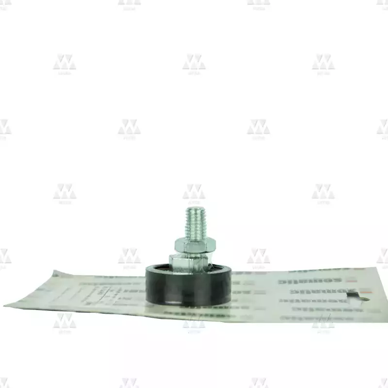 BL-C144ABGX | 1 X REAR ECCENTRIC LANDING DOOR ROLLER D.40MM (EXTERNAL) WITH BALL BEARING